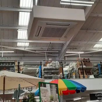 U3 collar in Dunelm: Click Here To View Larger Image